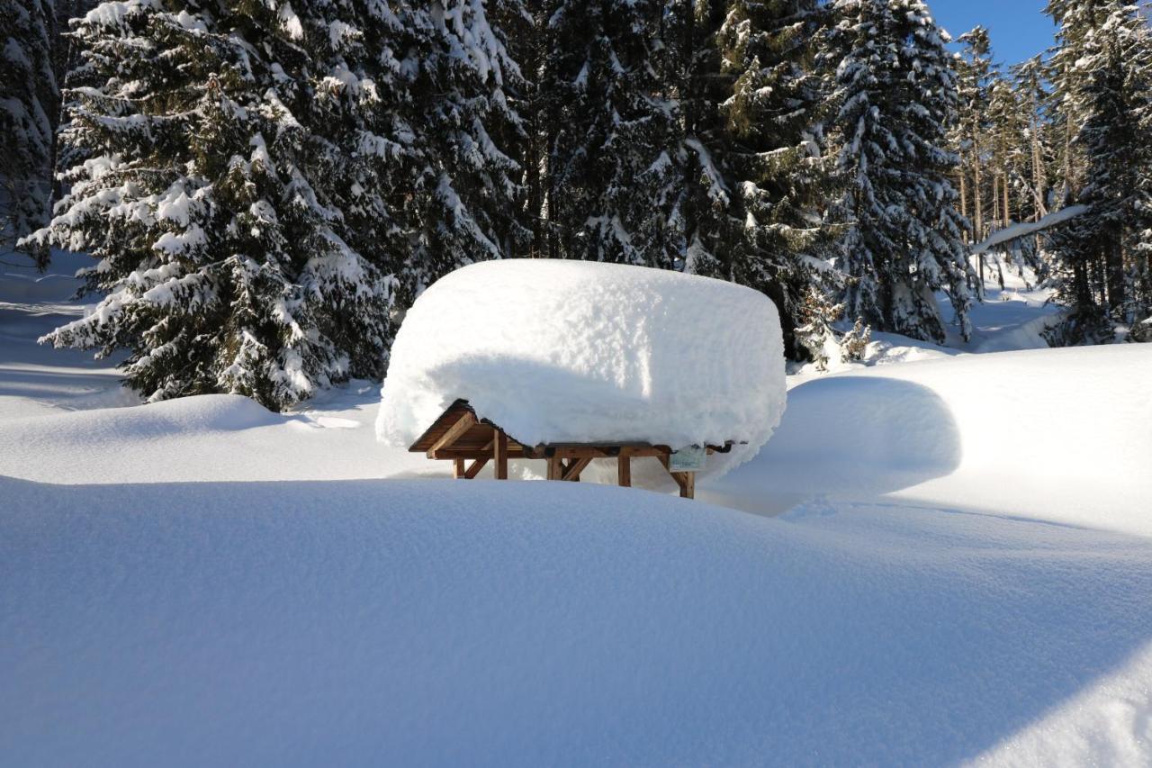 Hotel Schoene Aussicht Kartitsch Exteriör bild