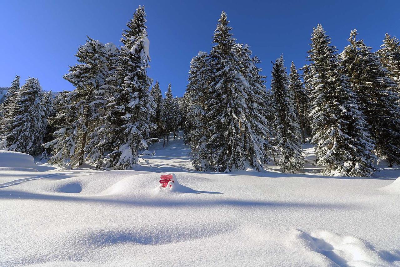 Hotel Schoene Aussicht Kartitsch Exteriör bild