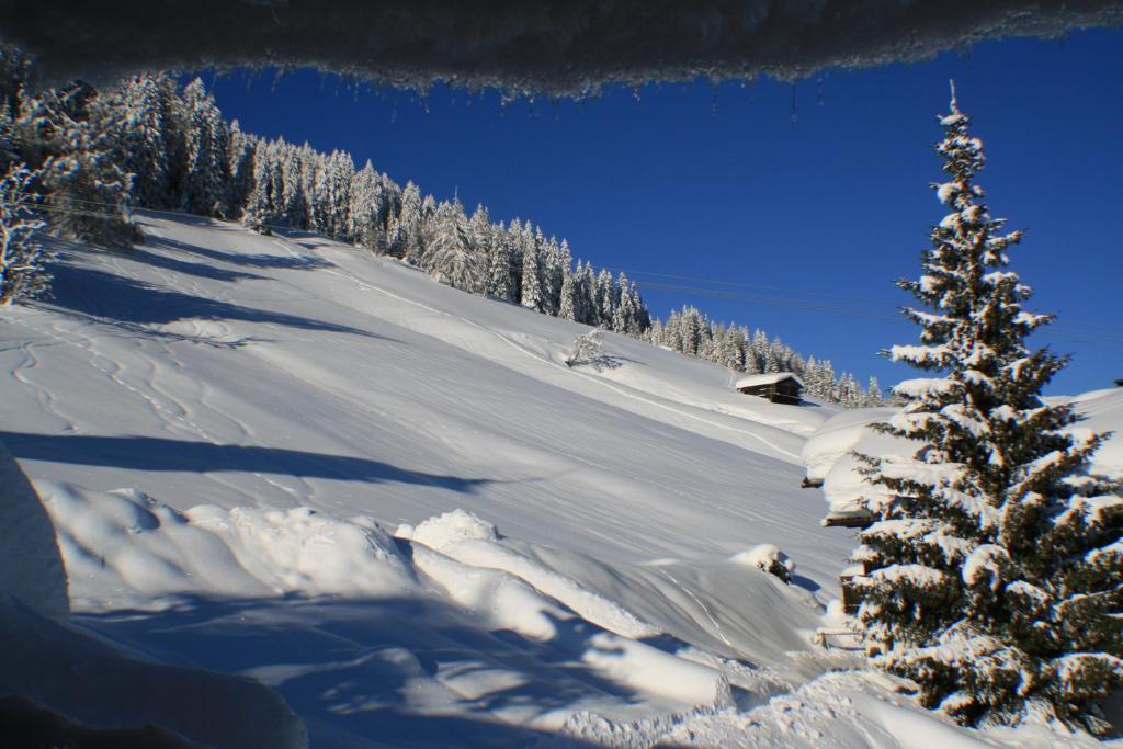 Hotel Schoene Aussicht Kartitsch Rum bild